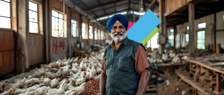 Poultry Farm Business