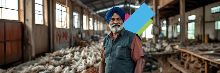Poultry Farm Business