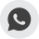 WhatsApp icon