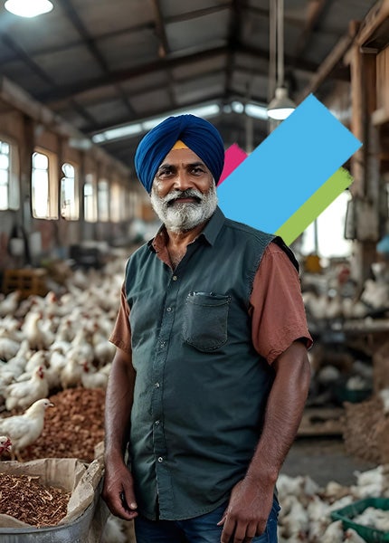 Poultry Farm Business