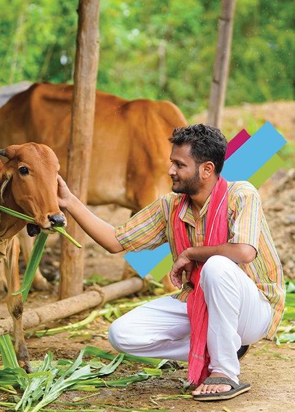 Dairy Farm Loan