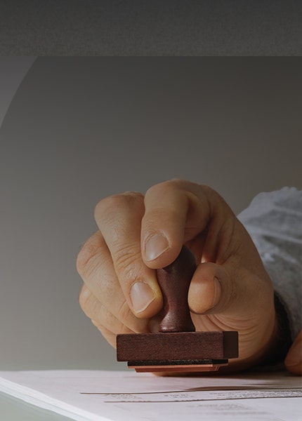 Information and Policy banner