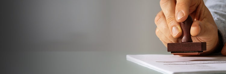 Information and Policy banner